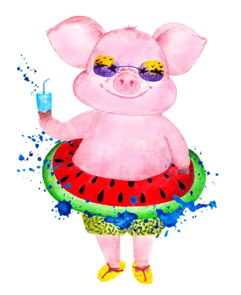 Счастливая Свинья Наслаждается Жизнью Акварель Иллюстрация Смешная Свинья Шортах Надувным — стоковое фото