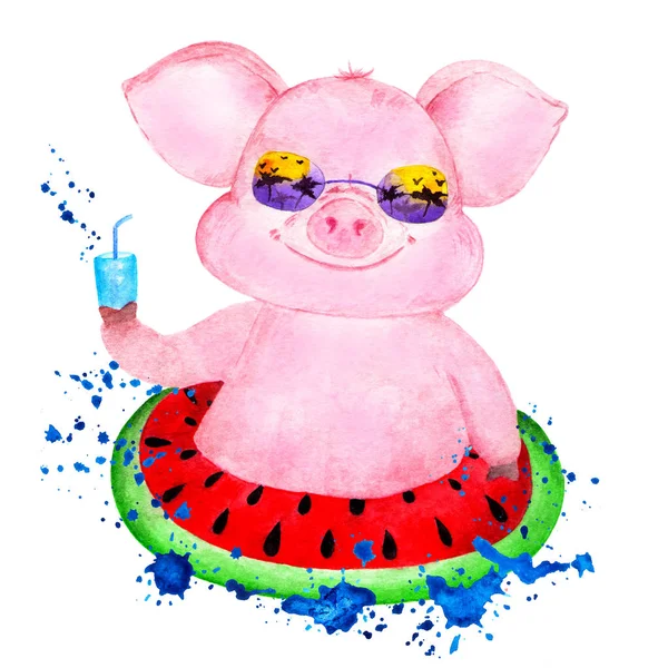 Cute pig. Watercolor illustrations drawn by hand.Portrait of a pink pig. Pig on an inflatable circle in a spray of waves. Illustration for printing on t-shirts.