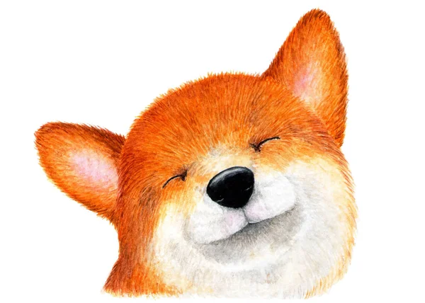 Portrét Shiba Inu Akita Inu Akvarelu Ilustrace Happy Shiba Inu — Stock fotografie