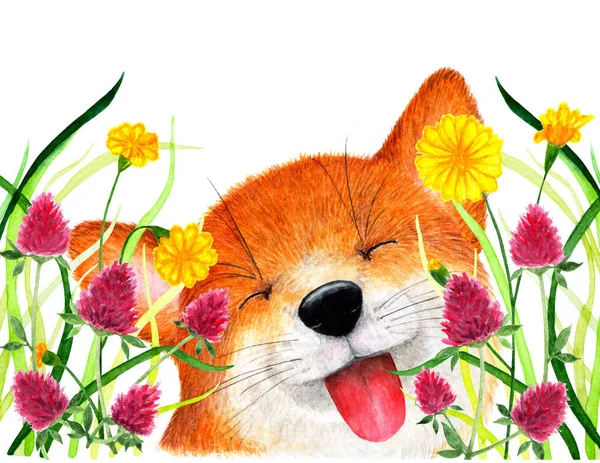 Fox Sitter Gräset Akvarell Illustration Räven Gömde Sig Gräset Rödklöver — Stockfoto