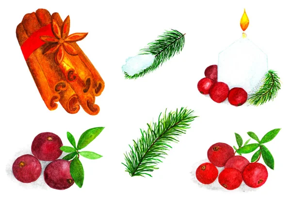 Conjunto Elementos Natal Para Design Ilustração Aquarela Paus Canela Cranberries — Fotografia de Stock