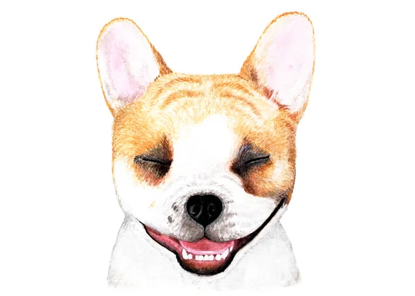 法国斗牛犬 水彩插图 一个微笑的法国斗牛犬的肖像 狗喜欢生活 T恤衫 动物饲料等的印刷插图 — 图库照片
