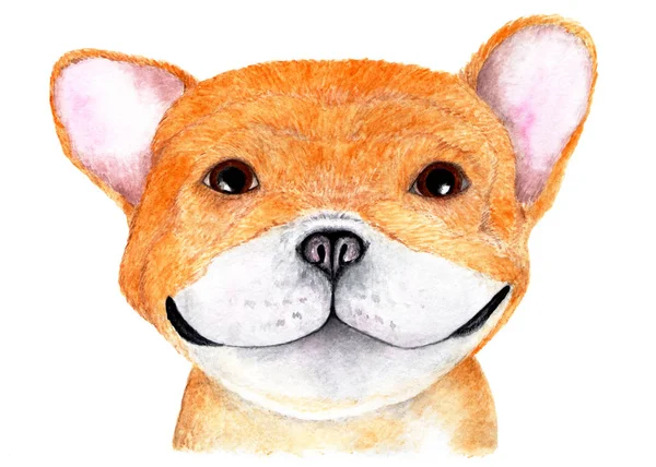 English Bulldog Watercolor Illustration Portrait English Bulldog Dog Smiles Looks — Stock Photo, Image