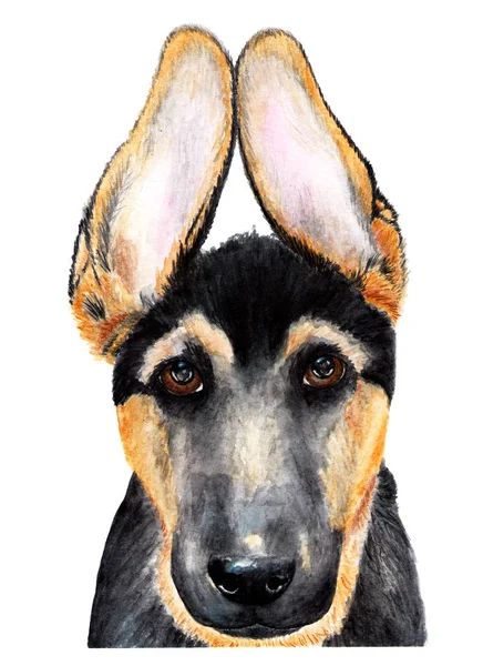 Portrait German Shepherd Watercolor Illustration German Shepherd Smiling Camera Loyal — Stock Photo, Image