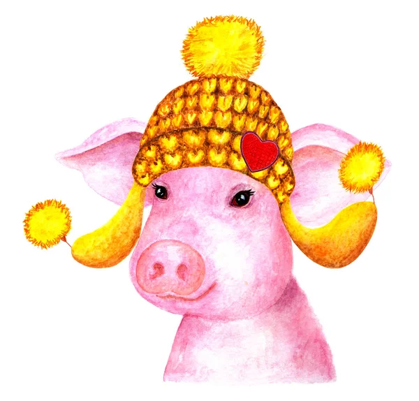 Πορτραίτο Του Χοίρου Ακουαρέλα Εικονογράφηση Ένα Γουρούνι Ένα Καπέλο Πλεκτό — Φωτογραφία Αρχείου