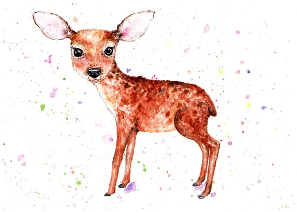 Fawn Illustration Aquarelle Petit Faon Délicat Belle Illustration Pour Enfants — Photo