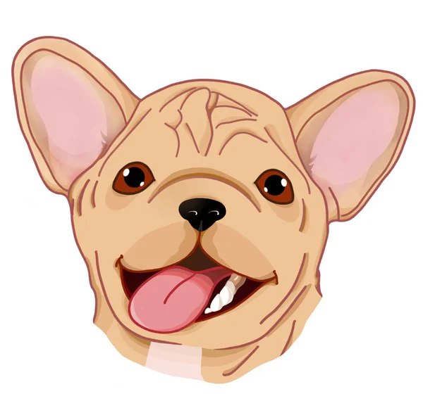 Portret Buldoga Francuskiego Pies Uśmiecha Się Portret Bulldog Białym Tle — Zdjęcie stockowe