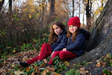 Sonbahar Park moda çocuklar. Donanma ve kırmızı renklerde şirin şık kıyafeti giymiş iki güzel beyaz kız açık havada, yaşam tarzı portresi kadar kapatın. Little sisters düşmüş oturan bırakır, rahatlatıcı