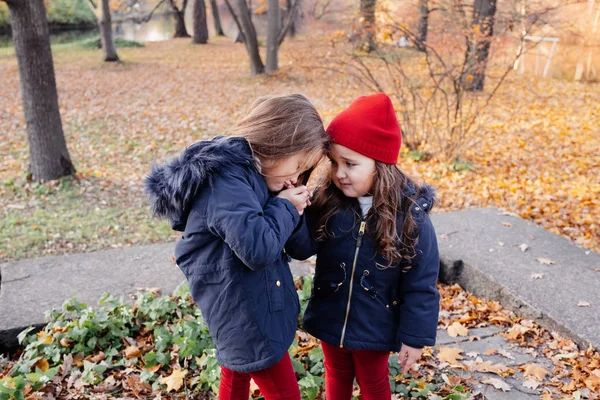 Two Happy Children Hugging Autumn Park Close Sunny Lifestyle Fashion — Stock Photo, Image