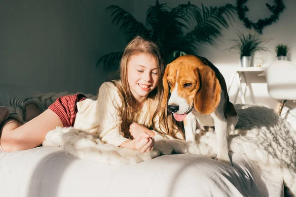 Hermosa Chica Caucásica Joven Jugando Con Perro Perrito Beagle Mañana —  Fotos de Stock