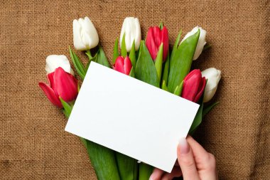 Lale çiçek ile rustik çuval bezi tuval üzerine kadının boş kağıt kartı eller. Uluslararası Kadınlar Günü, anneler günü, Paskalya, Bahar tatili için tebrik kartı