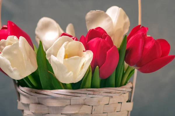 Tulips Buds Basket Close Spring Flower Bouquet — Stock Photo, Image