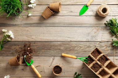 Bahçecilik aletleri, tohum, bitki ve toprak vintage ahşap masa üzerinde. Bahçe veya kavramı dikim. Bahar bahçede çalışan