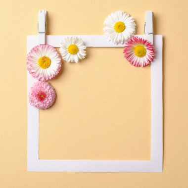 Pastel sarı arka plan üzerinde renkli çiçekler ve kağıt çerçeve kenarlığı ile yapılan bahar kompozisyon. Yaratıcı minimal tatil konsepti. Düz döşeme ayarı. Üst görünüm, genel merkez