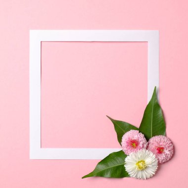 Pastel pembe arka plan üzerinde kağıt çerçeve sınır ve ihale bahar çiçekleri yapılmış yaratıcı düzen. Kopya alanı ile minimal doğa kompozisyonu. Düz döşeme ayarı. Üst görünüm, genel merkez