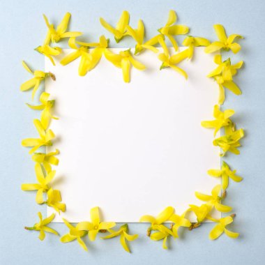 Sarı çiçek yaprakları ve boş kağıt kart notu yapılmış yaratıcı ayarı. Düz yatıyordu. Bahar çiçekleri kavramı. Tebrik kartı maketleri, bahar tatili. Düz yatıyordu. Üst te. Yükü.