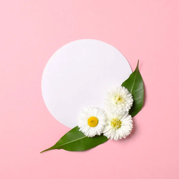 Spring nature minimal concept. Daisy flowers with green leaves and white circle-shaped paper card on pastel pink background. Flat lay composition with copy space. Top view, overhead