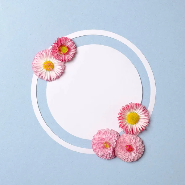Spring nature minimal concept. Pink flowers and white circle-shaped paper card on pastel blue background. Flat lay composition with copy space. Top view, overhead