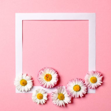 Pastel pembe arka plan üzerinde renkli bahar çiçekleri ve kağıt sınır çerçevesi yapılmış yaratıcı düzen. Minimal tatil konsepti. Düz döşeme deseni. Üst görünüm, genel merkez.