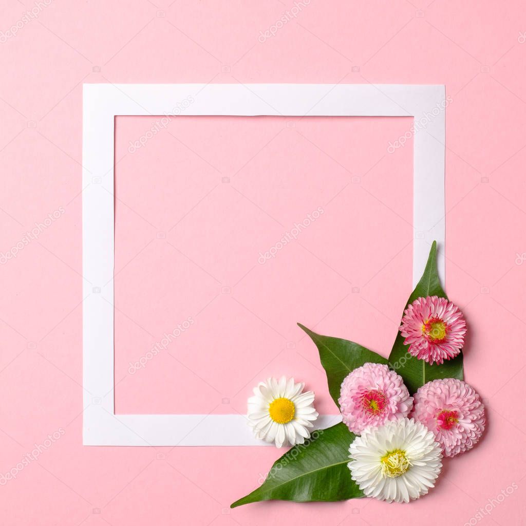 Minimalistic layout made of paper frame border and tender spring flowers on pastel pink background. Minimal nature composition with copy space. Flat lay setting. Top view, overhead