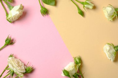 Doğum günü tebrikler çiçek arka plan. Kopya alanı ile beyaz gül çiçeklerden yapılmış Çerçeve sınır. Düz lay stil kompozisyon, yaratıcı düzen. Üstte, tepede. Hassasiyet ve güzellik kavramı.