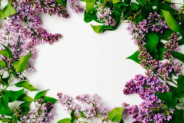 Lila lila blommor ram på vit bakgrund. Flat Lay blommig komposition, ovanifrån, overhead. Vår bakgrund, gratulationskort utkast med kopiera utrymme för meddelande, banner mall. — Stockfoto