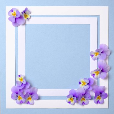 Pastel mavi arka plan üzerinde yabani çiçek yaprakları ile Çiçek çerçeve. Üst görünüm, ihale minimal düz döşeme tarzı kompozisyon. Davet, tebrik kartı veya tasarımınız için bir öğe