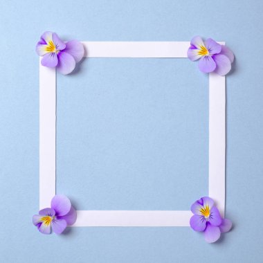 Suluboya bahar arka plan üzerinde çiçek yaprakları ile Düz yatıyordu kare çerçeve. Üst görünüm, çiçek çerçeve, soyut tasarım. Davet, tebrik kartı veya tasarımınız için bir öğe.