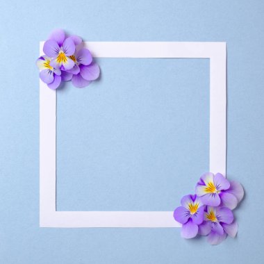 Pastel mavi arka plan üzerinde yabani çiçek yaprakları ile Çiçek çerçeve. Üst görünüm, ihale minimal düz döşeme tarzı kompozisyon. Davet, tebrik kartı veya tasarımınız için bir öğe