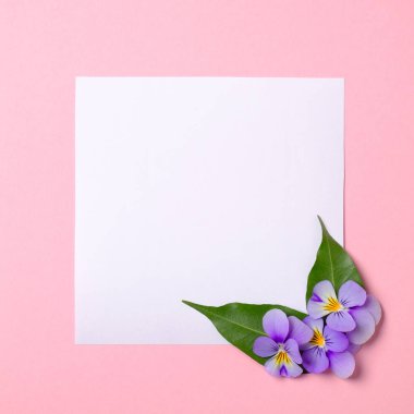 Çiçek çerçeve sınır boş beyaz kağıt, çiçek yaprakları, suluboya bahar arka plan üzerinde yeşil yaprakları yapılmış. Davet, tebrik kartı veya tasarımınız için bir öğe. Üst görünüm, soyut sanat.