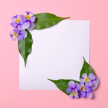 Çiçek çerçeve sınır boş beyaz kağıt, çiçek yaprakları, suluboya bahar arka plan üzerinde yeşil yaprakları yapılmış. Davet, tebrik kartı veya tasarımınız için bir öğe. Üst görünüm, soyut sanat.