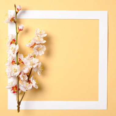 Suluboya bahar arka plan üzerinde çiçek sakura dalları, yaprakları ve yaprakları ile Düz yatıyordu çerçeve. Üst görünüm, çiçek çerçeve, soyut tasarım. Davet, tebrik kartı veya tasarımınız için bir öğe.