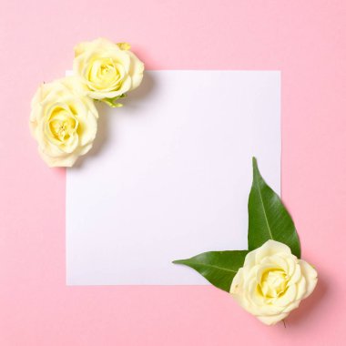 Pastel pembe arka plan üzerinde gül çiçeği yaprakları ile boş kağıt kart. Davet, tebrik kartı veya tasarımınız için bir öğe. Üst görünüm, soyut sanat.