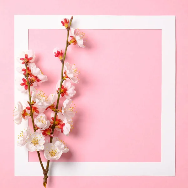 Flat lay frame with blossom sakura branches, leaves and petals on watercolor spring background. Top view, floral frame, abstract design. Invitation, greeting card or an element for your design.