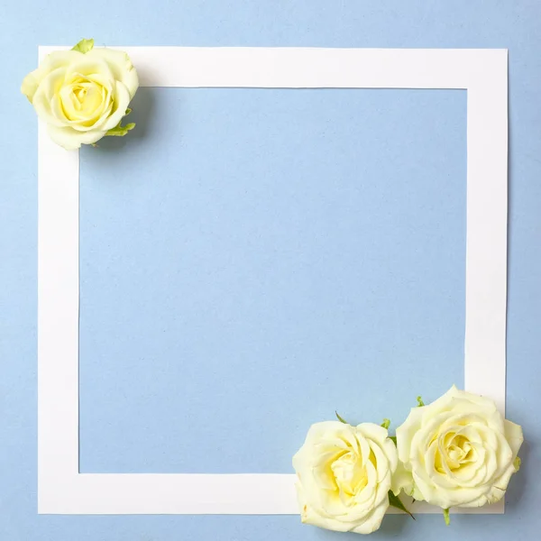 Floral frame with white roses flowers on pastel blue background. Top view, tender minimal flat lay style composition. Springtime concept. Invitation, greeting card or an element for your design