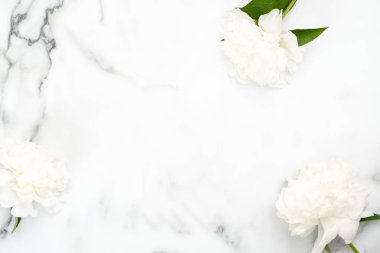 Mermer arka plan üzerinde beyaz şakayık çiçeklerüst görünüm çerçevesi. Şakayık ile minimal düz yatıyordu tarzı ev masası. Kopya alanı ile düğün davetiye kartı mockup. Güzellik veya moda günlüğü afiş şablonu