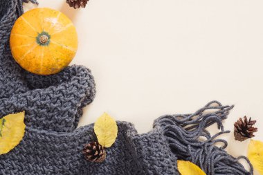 Sonbahar kompozisyonu. Çerçeve örme ekose veya eşarp, kabak, düşmüş yaprakları, pastel bej arka plan üzerinde koniler yapılmış. Sonbahar, sonbahar, şükran günü konsepti. Düz döşeme, üst görünüm, kopyalama alanı.