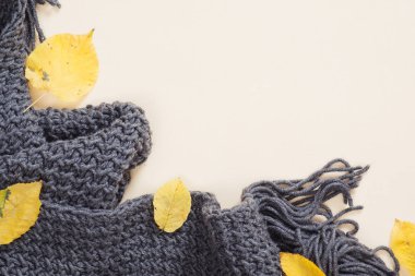 Sonbahar kompozisyonu. Pastel bej arka planda örme ekose ve kuru sonbahar yaprakları. Düz döşeme, üst görünüm, kopyalama alanı. Sonbahar minimal kavramı