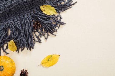 Sonbahar kompozisyonu. Flatlay örme eşarp, düşmüş yaprakları, kabak, pastel bej arka plan üzerinde koni. Düz döşeme, üst görünüm, kopyalama alanı. Sonbahar sonbahar ı ve şükran günü konsepti.