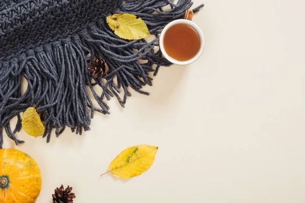 Sonbahar kompozisyonu. Flatlay örme eşarp, düşmüş yaprakları, kabak, çay fincan, pastel bej arka plan üzerinde koni. Düz döşeme, üst görünüm, kopyalama alanı. Sonbahar sonbahar ı ve şükran günü konsepti.