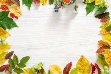 Sonbahar kompozisyonu. Ahşap arka plan üzerinde sonbahar düşen yapraklarından yapılmış çerçeve. Düz döşeme, üst görünüm, kopyalama alanı