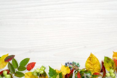 Sonbahar kompozisyonu. Ahşap arka plan üzerinde sonbahar düşen yapraklarından yapılmış çerçeve. Düz döşeme, üst görünüm, kopyalama alanı