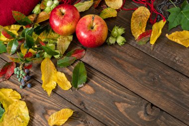Flatlay sonbahar kompozisyon. Elmalar, bitki dalı, tahta masanın üzerine sonbahar düşmüş yapraklar. Düz döşeme, üst görünüm, kopyalama alanı. Ev masası masasında sonbahar hasadı.