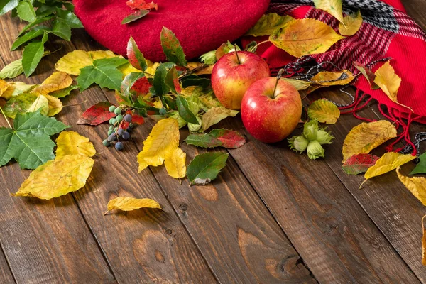 Flatlay sonbahar kompozisyon. Elmalar, bitki dalı, tahta masanın üzerine sonbahar düşmüş yapraklar. Düz döşeme, üst görünüm, kopyalama alanı. Ev masası masasında sonbahar hasadı.