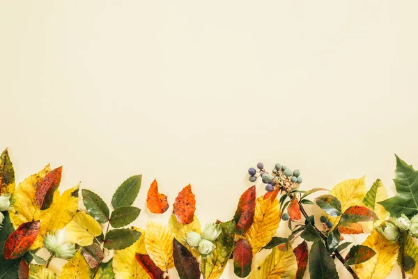 Sonbahar kompozisyonu. Pastel bej arka plan üzerinde sonbahar sonbahar yaprakları yapılmış çerçeve. Düz döşeme, üst görünüm