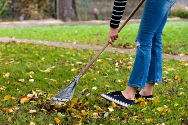 Gärtnerin harkt umgefallenes Laub im Hinterhof. Frau steht mit Harke. Saisonarbeit im Herbst im Garten. — Stockfoto