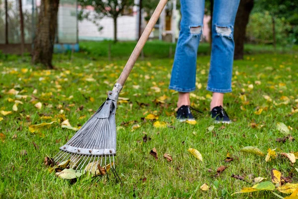 Fallendes Laub im Garten rechen. Frau hält Harke in der Hand und reinigt Rasen im Herbst von Laub — Stockfoto