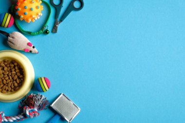 Hayvan bakımı ve eğitim konsepti. Kedi ve tanrı için düz aksesuarlar ve mavi arka planda bir kase kuru yiyecek. Üst görünüm.