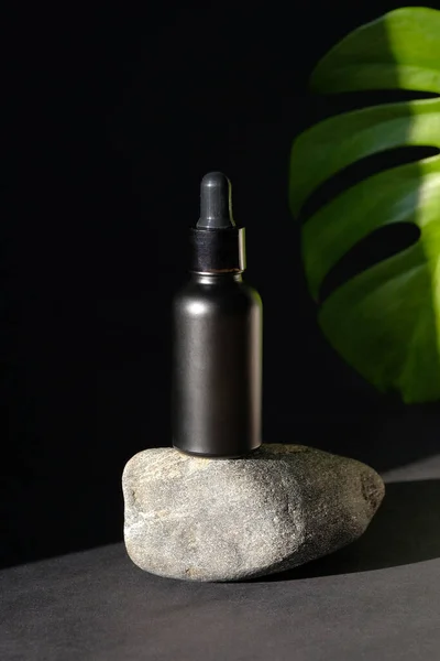 Black dropper bottle with organic essential oil for hair on stone and tropical monstera leaf on dark background. Beauty product packaging design