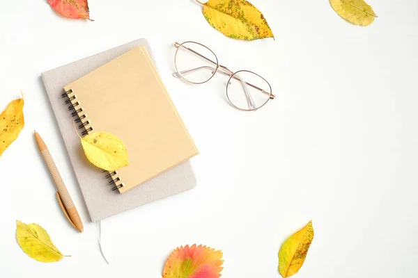 Composizione Flatlay Autunnale Occhiali Moda Donna Taccuino Carta Foglie Cadute — Foto Stock